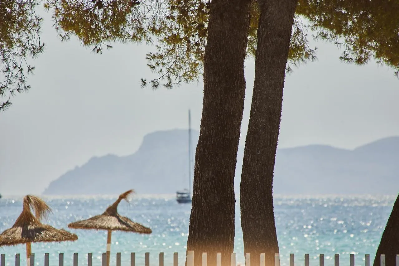 Sofia Alcudia Beach Port de Alcudia  Spain